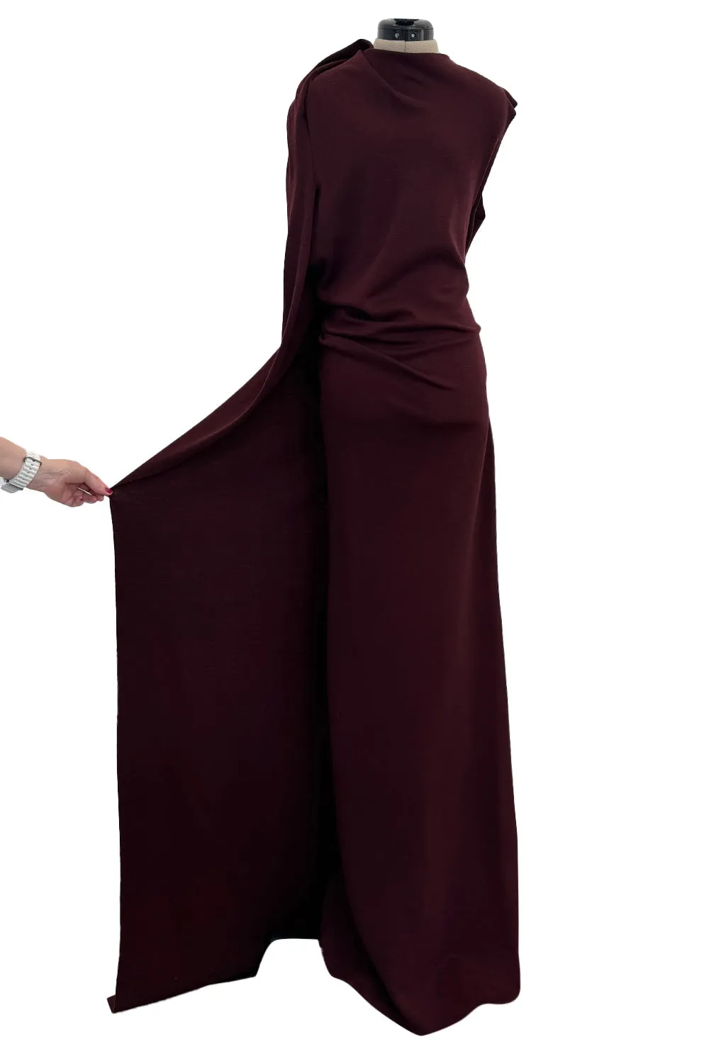 Avant Garde Fall 2010 Lanvin by Alber Elbaz Runway Look 22 Exceptionally Long Burgundy Knit Jersey Dress