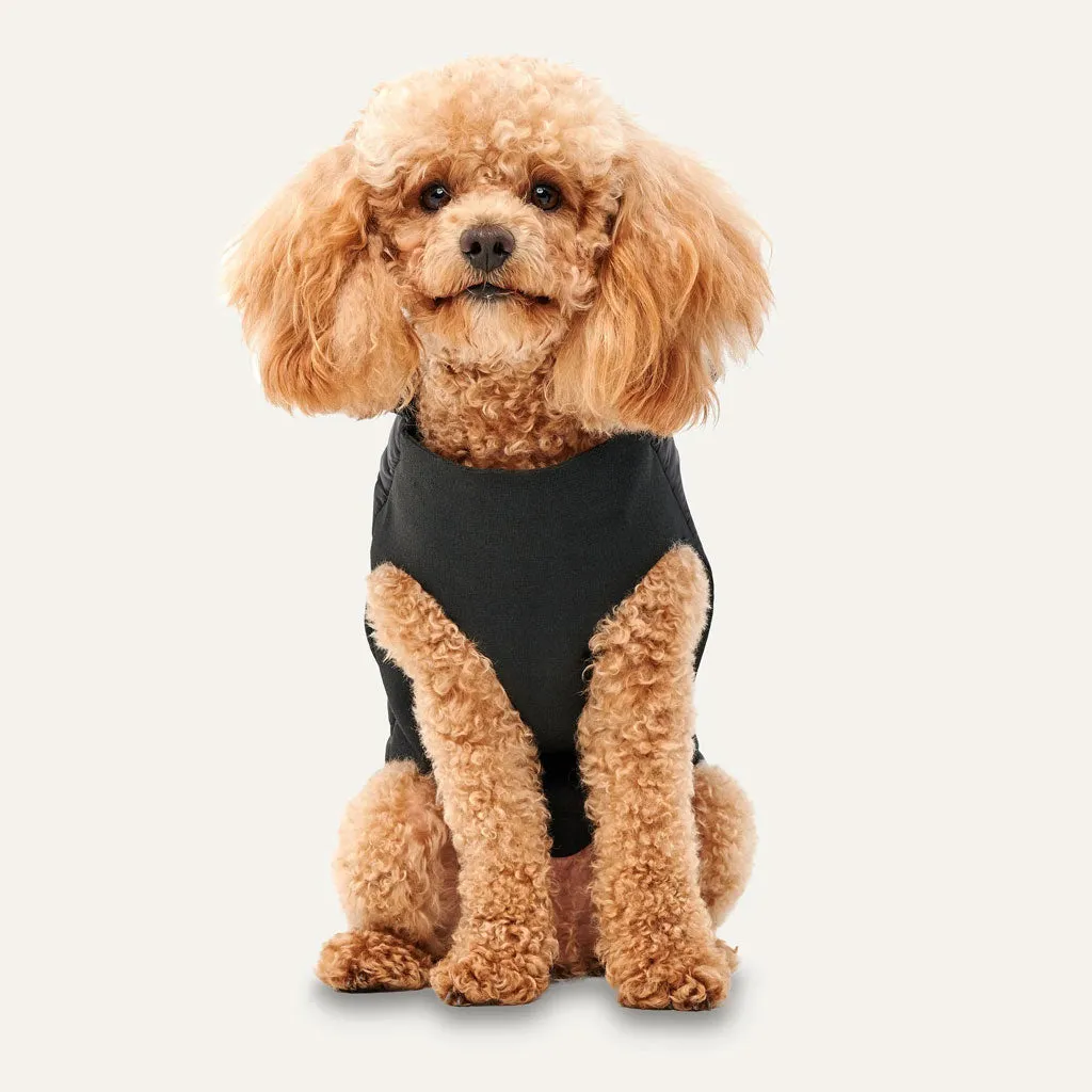 Goo-eez Mock Neck Signature Wrap Jacket Black for Dogs