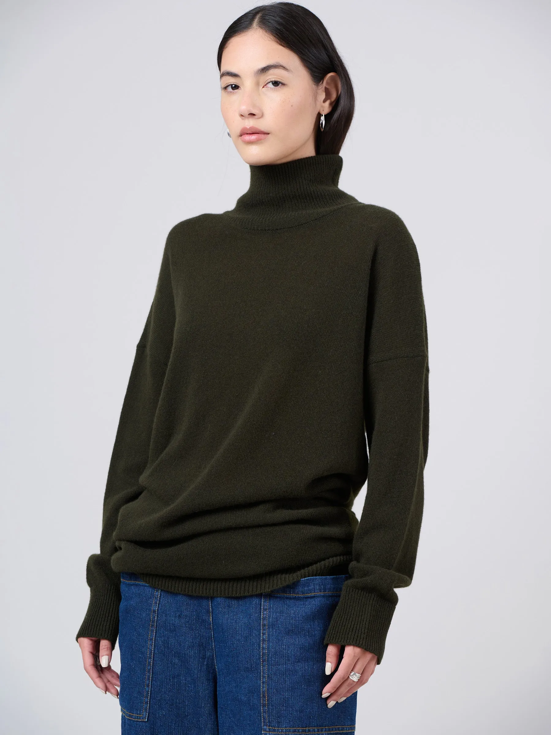 Pure Wool Oversized Turtle Neck Dress