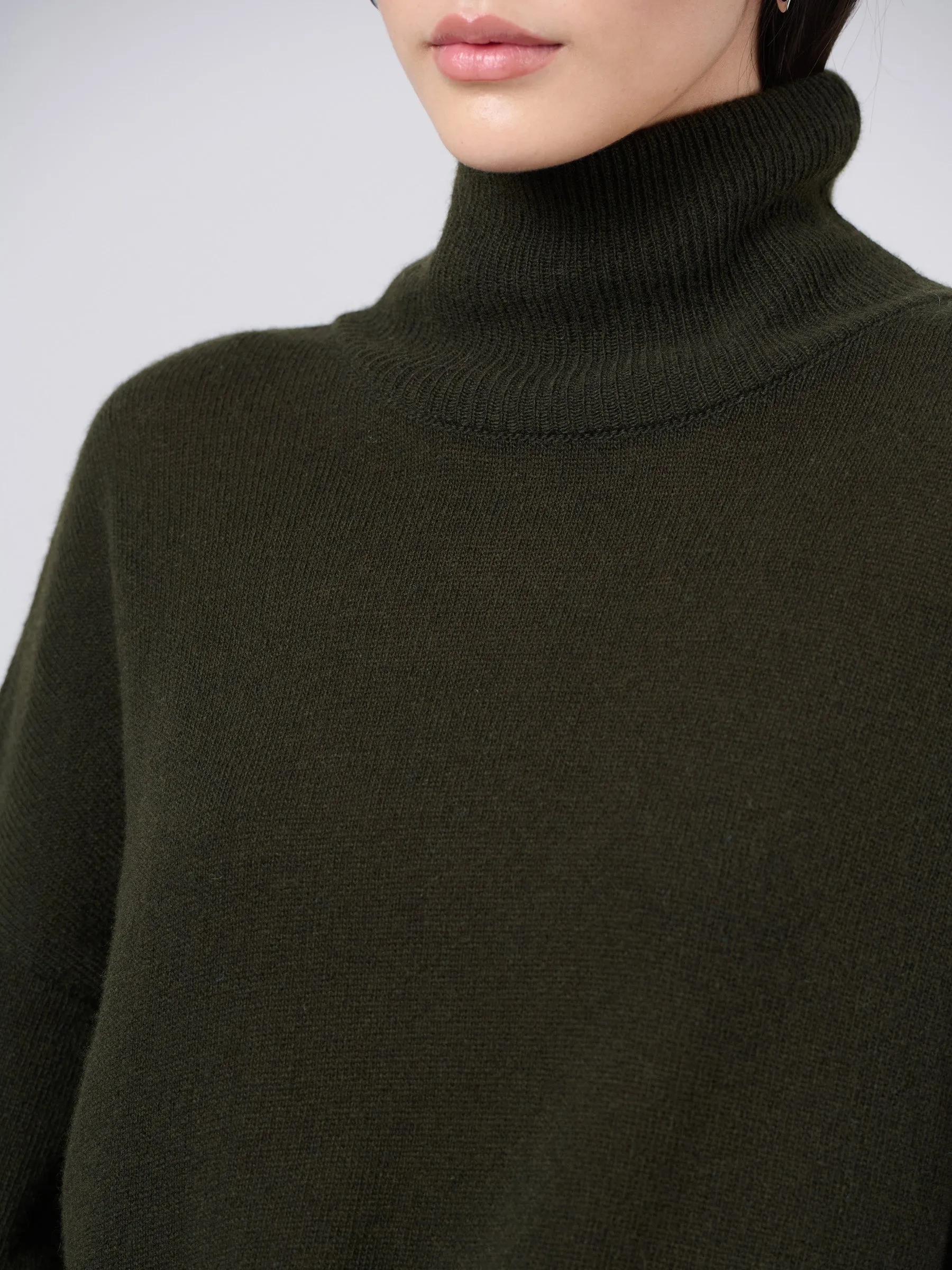 Pure Wool Oversized Turtle Neck Dress