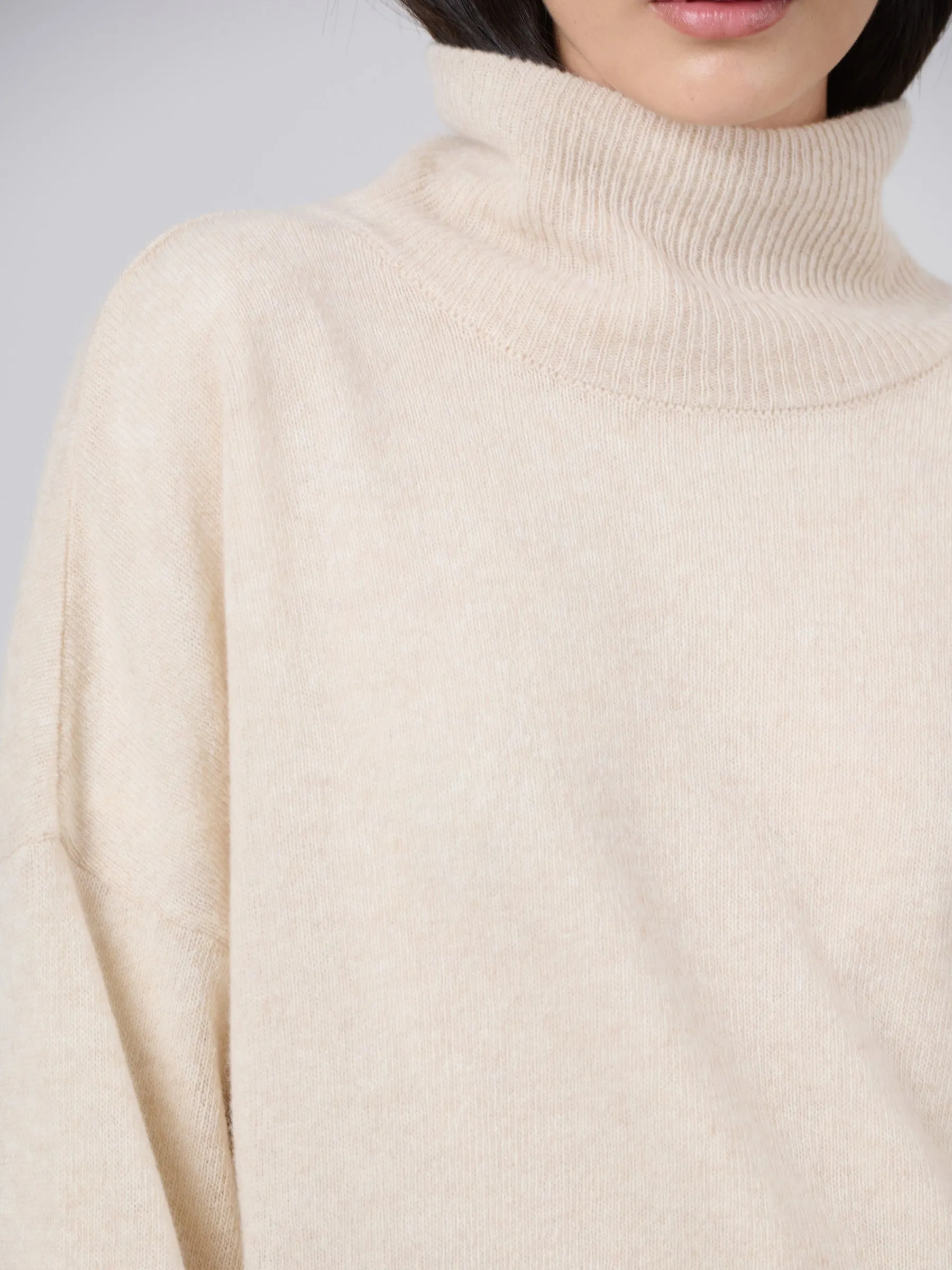 Pure Wool Oversized Turtle Neck Dress