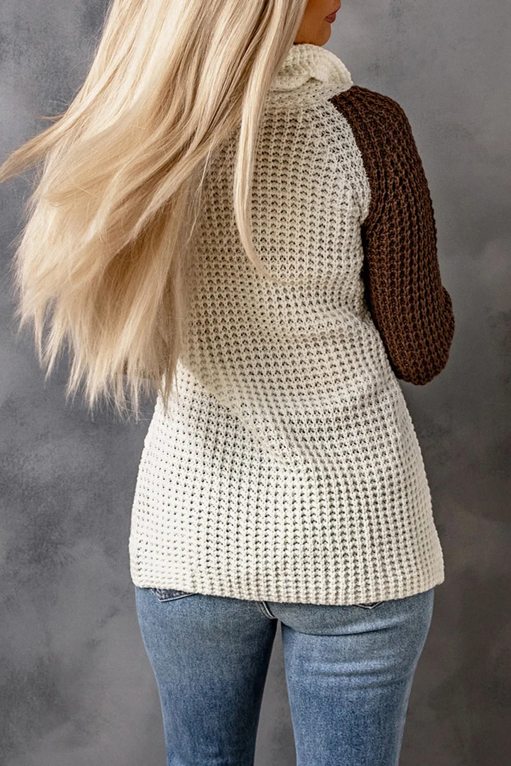 Turtle Cowl Neck Pullover Sweater